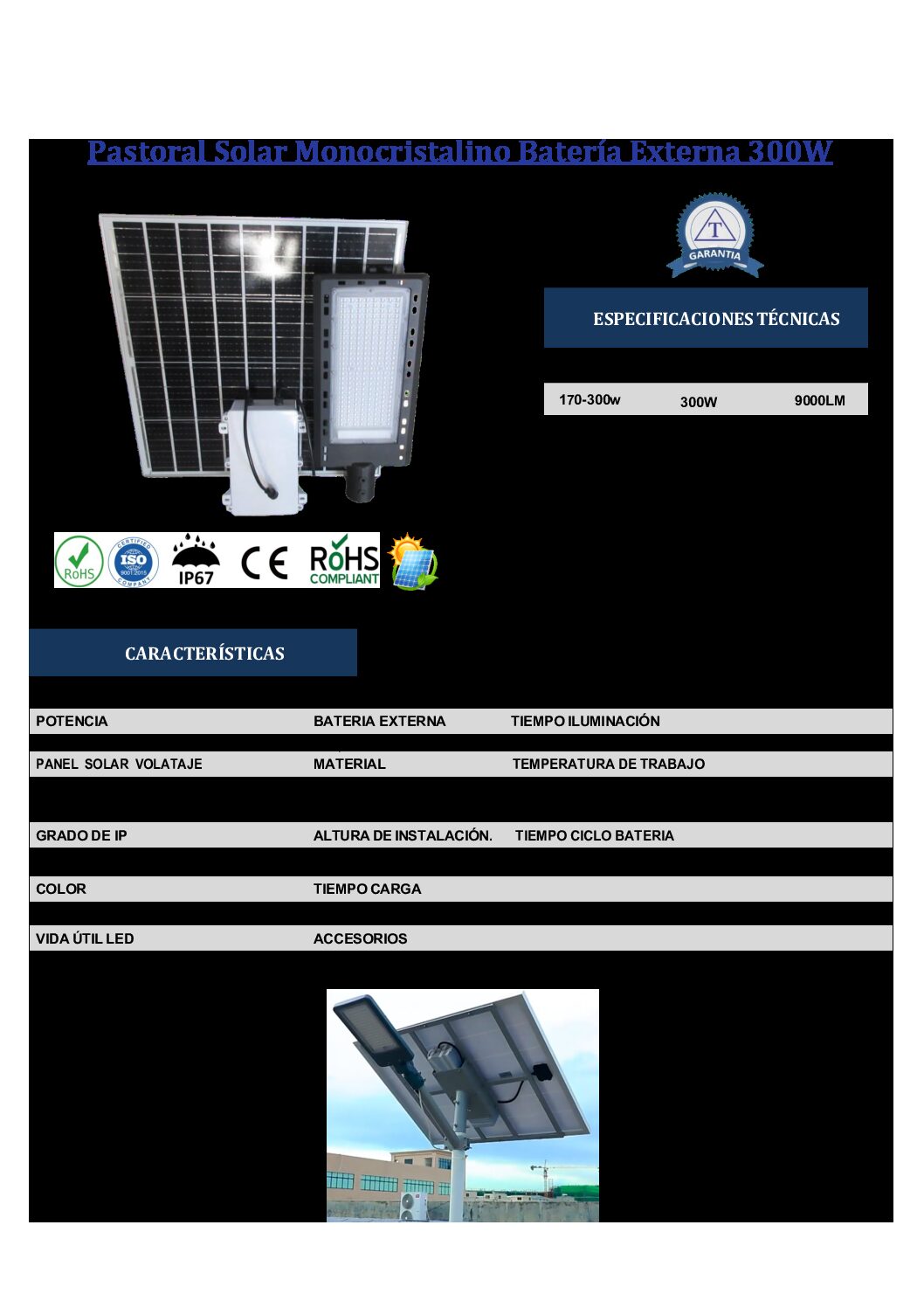 FICHATECNICA170TR-300W